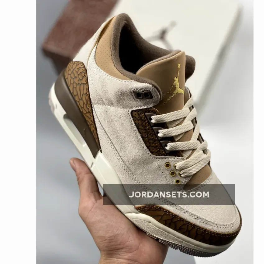 Air Jordan 3 Light Orewood Brown CT8532-102 / air jordan 3 palomino