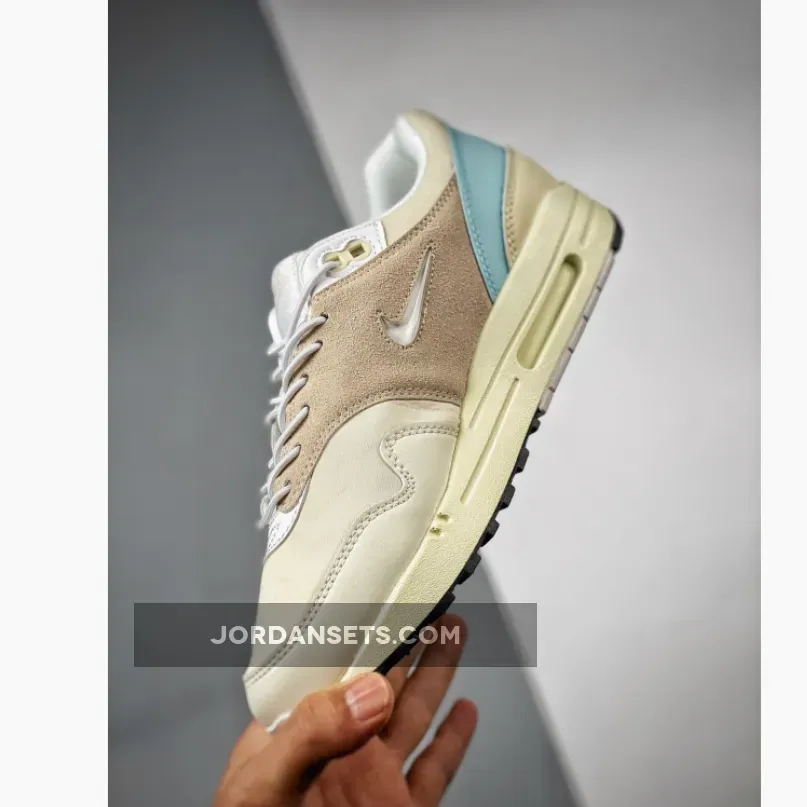 Nike Air Max 1 No Bubble DZ5317-121 hangul day nike