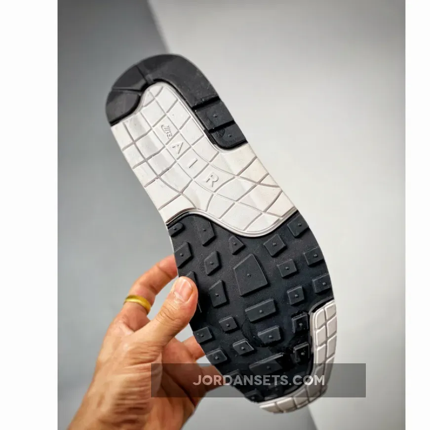 Nike Air Max 1 No Bubble DZ5317-121 hangul day nike