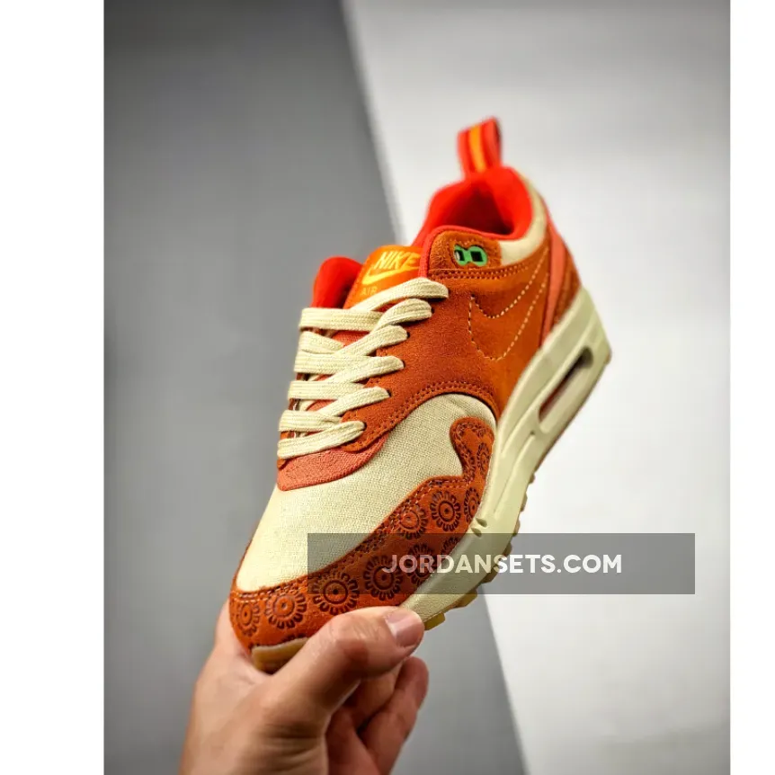 Nike Air Max 1 'Somos Familia' DZ5352-847 / somos familia nike 2022