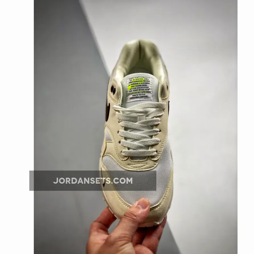 Nike Air Max 1 Sail / Ironstone - Nike Air Max 1 Sail/Ironstone-White-Rattan DZ4494-100