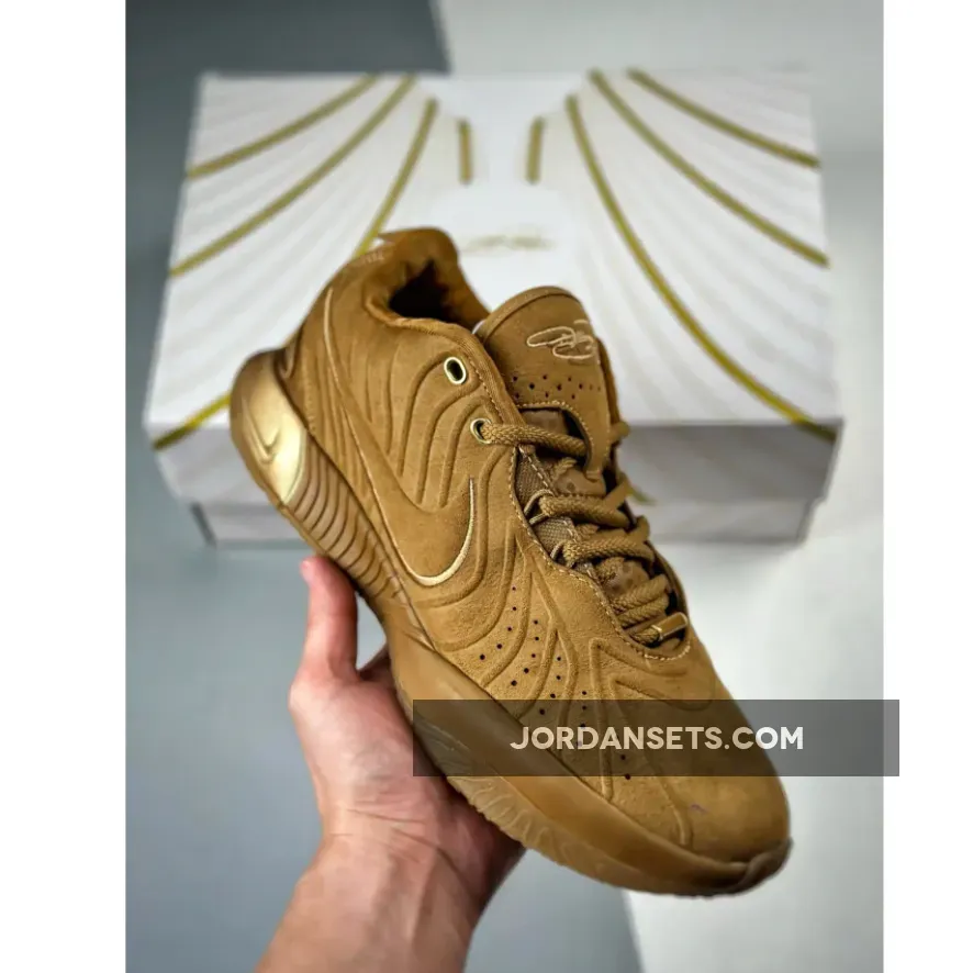 Nike LeBron 21 Brown Gold PE Brand New