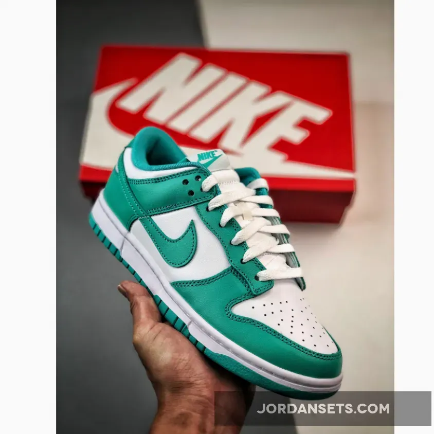 Nike Dunk Low White/Clear Jade DV0833-101 clear dunks
