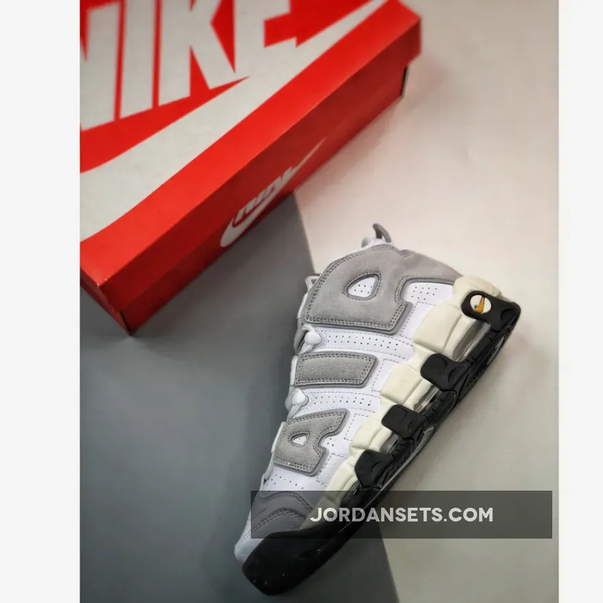 Nike Air More Uptempo White Grey Suede DZ4516-100 For Sale