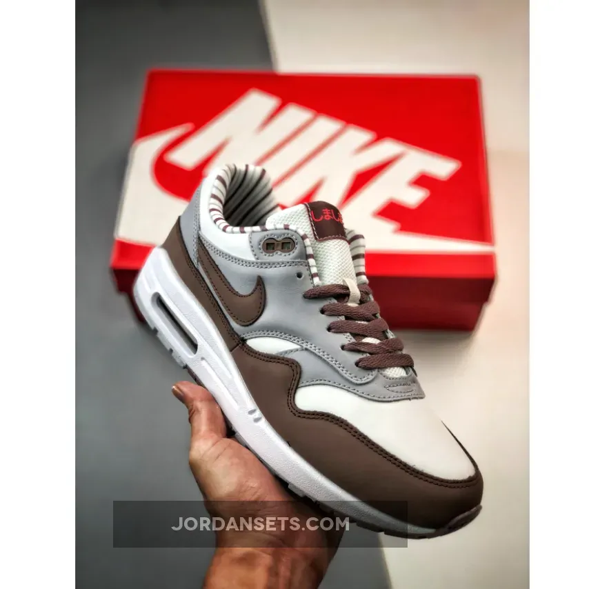 Nike Air Max 1 Prm 'Shima Shima' FB8916-100 / jordan gray and blue