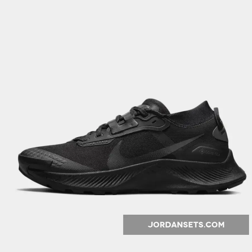 Nike Pegasus Trail 3 Gore-Tex 'Triple Black' nike.pegasus trail 3 gore tex