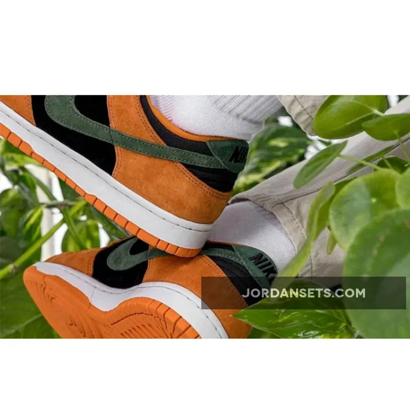 Nike Dunk Low 'Ceramic' Orange DA1469-001 / dunk low ceramics