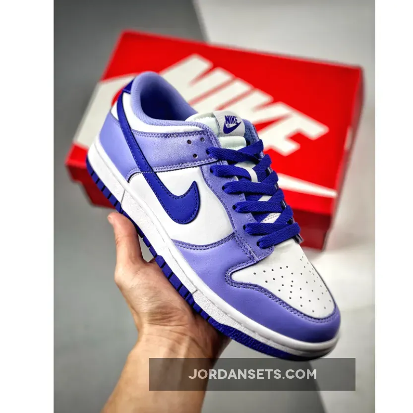 Nike Dunk Low 'Blueberry' White/Light Thistle/Lapis DZ4456-100 - dunks blueberry