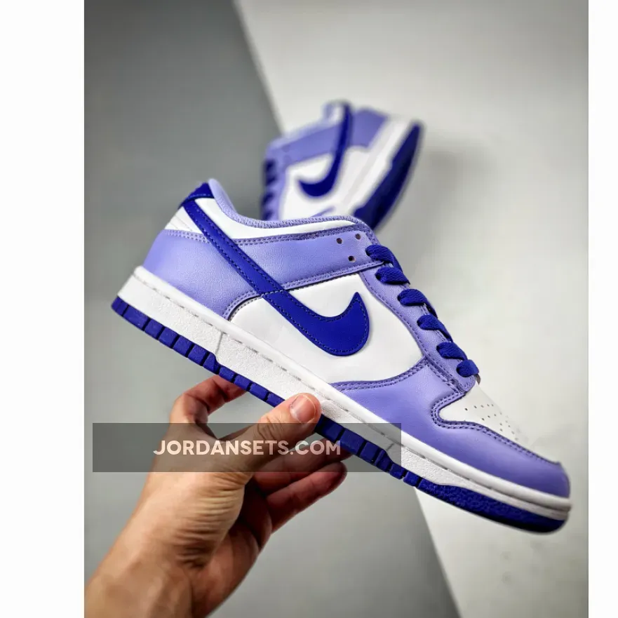 Nike Dunk Low 'Blueberry' White/Light Thistle/Lapis DZ4456-100 - dunks blueberry