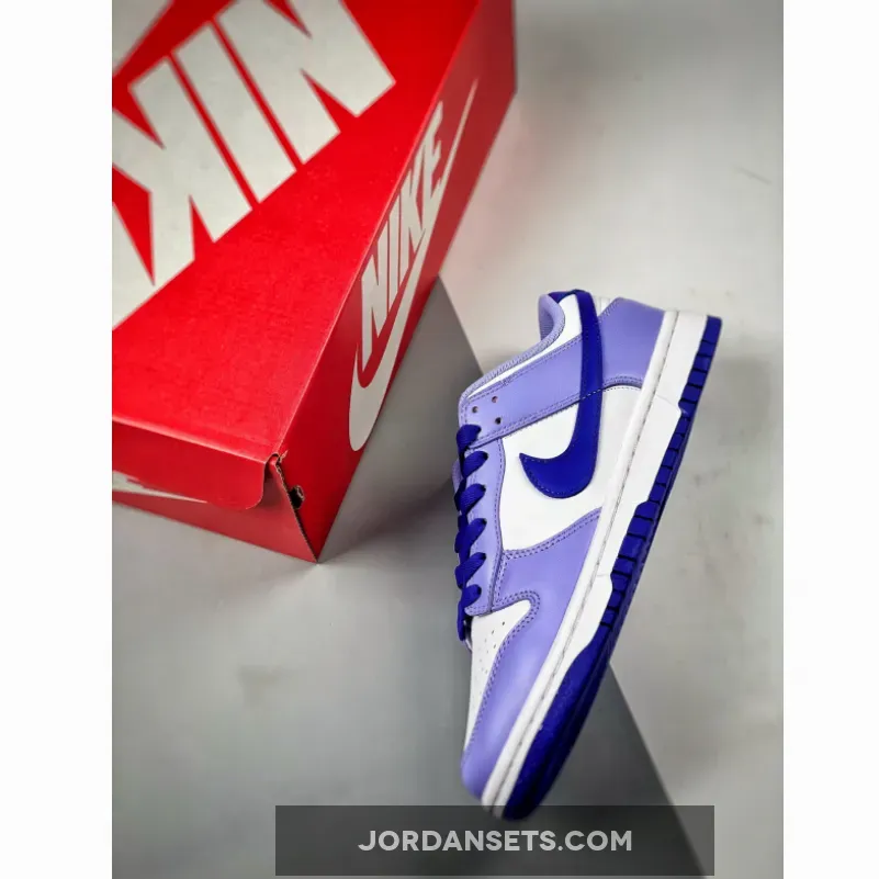 Nike Dunk Low 'Blueberry' White/Light Thistle/Lapis DZ4456-100 - dunks blueberry