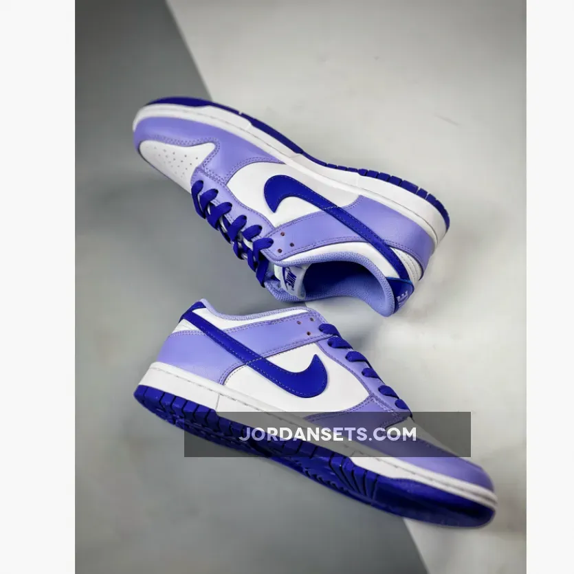 Nike Dunk Low 'Blueberry' White/Light Thistle/Lapis DZ4456-100 - dunks blueberry