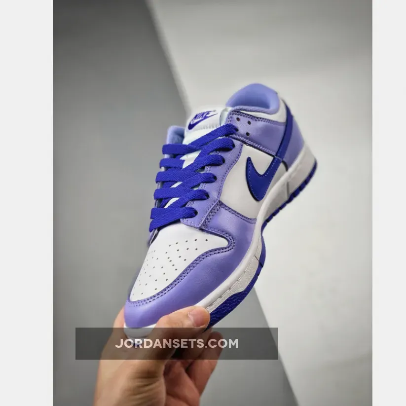 Nike Dunk Low 'Blueberry' White/Light Thistle/Lapis DZ4456-100 - dunks blueberry