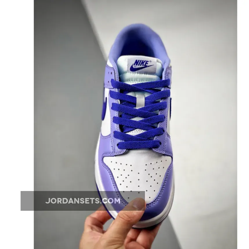 Nike Dunk Low 'Blueberry' White/Light Thistle/Lapis DZ4456-100 - dunks blueberry