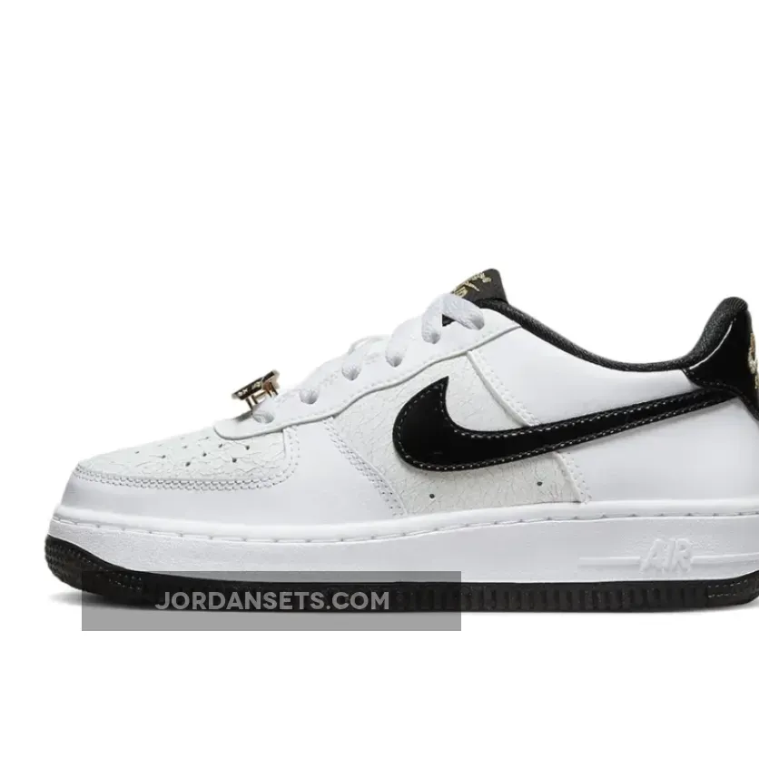 Nike Air Force 1 Low GS World Champ For Womens DQ0300-100 Online