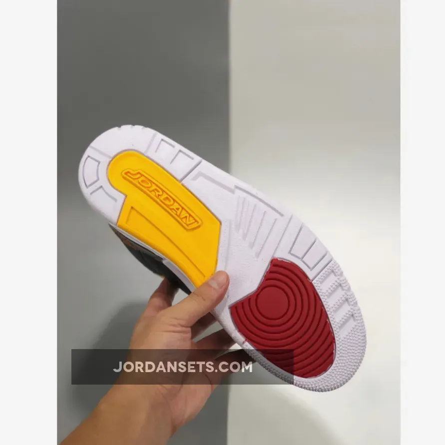 Jordan 3 SE Animal Instinct 2.0 Black / Jordan 3 Animal Instincts CV3583-003