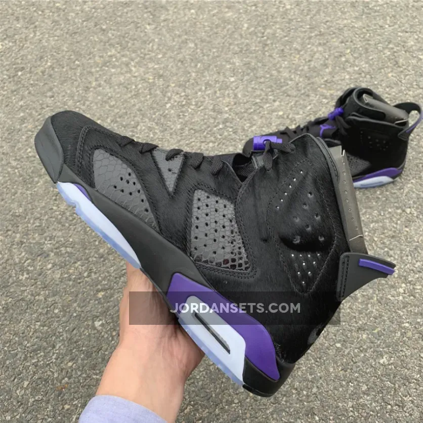 Social Status x Air Jordan 6 Black Cat Hair By Jordan AR2257-005