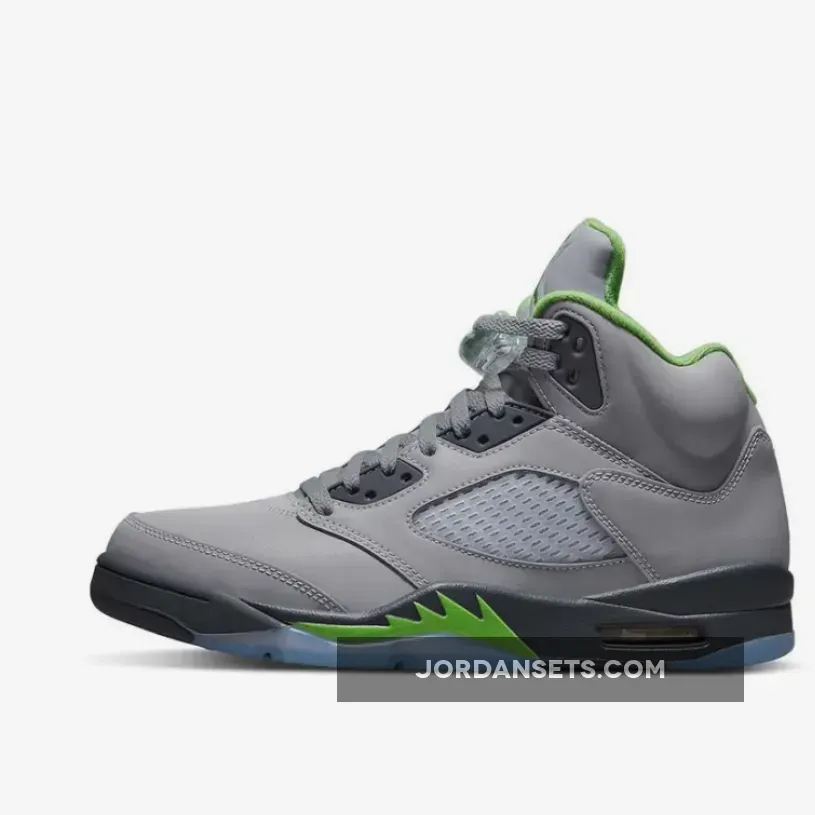 Air Jordan 5 Silver/Green Bean/Flint Grey DM9014-003 / green bean shoes