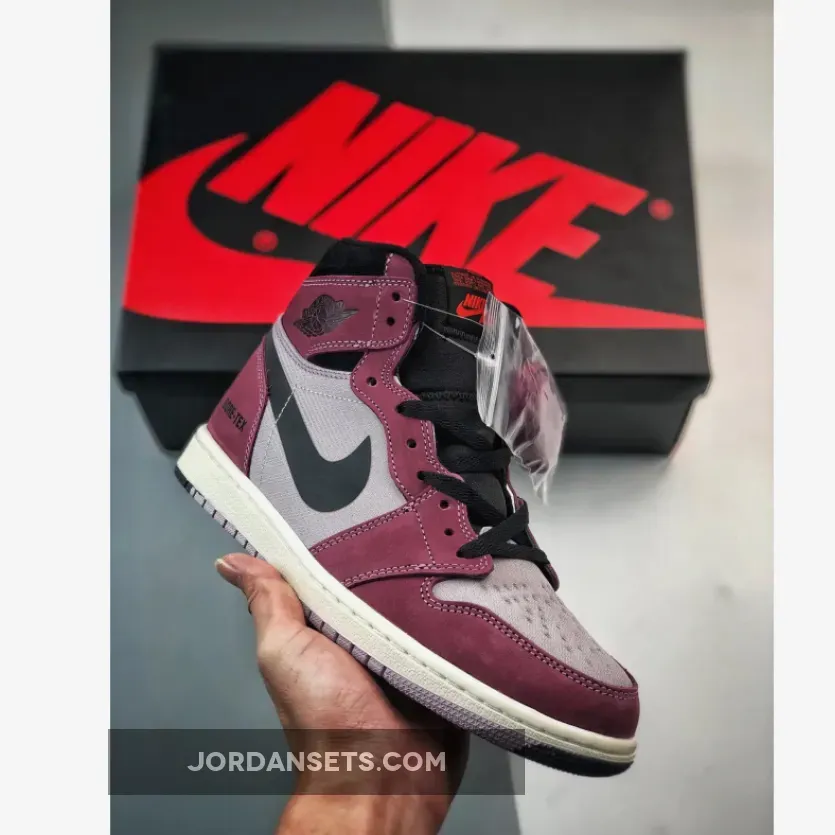 Air Jordan 1 Element Gore-Tex Berry Black | BERRY JORDAN DB2889-500