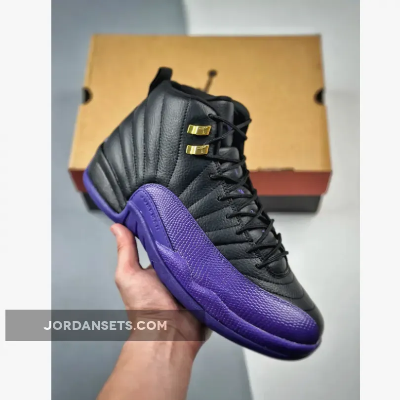 Air Jordan 12 Black/Field Purple-Metallic Gold-Taxi