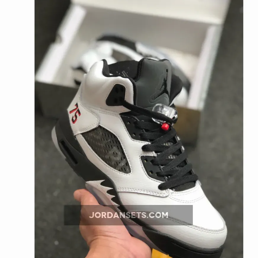 Air Jordan 5 "PSG" White/Black