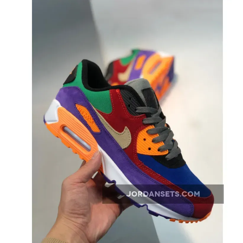 Nike Air Max 90 Viotech Multi